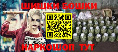 индика Лесосибирск