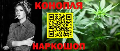 индика Лесосибирск