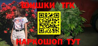индика Лесосибирск