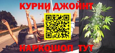 индика Лесосибирск