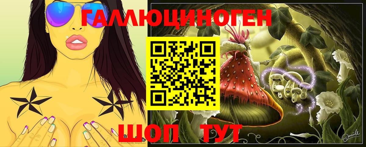 Галлюциногенные грибы MAGIC MUSHROOMS  Вход с VPN  Чайковский 